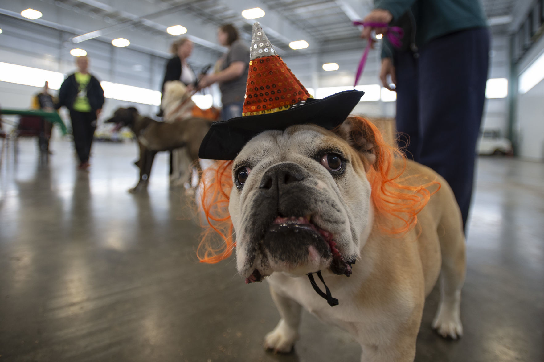 Barktoberfest